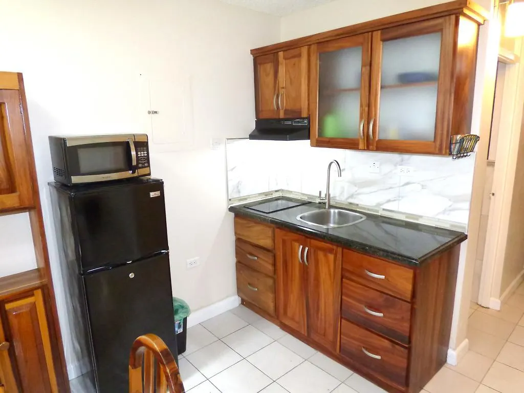 Beach Studio 6 Ocho Rios Apartment